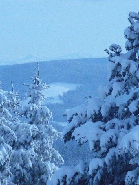 Ferienwohnung-Nr-1 Vöhrenbach Esterno foto